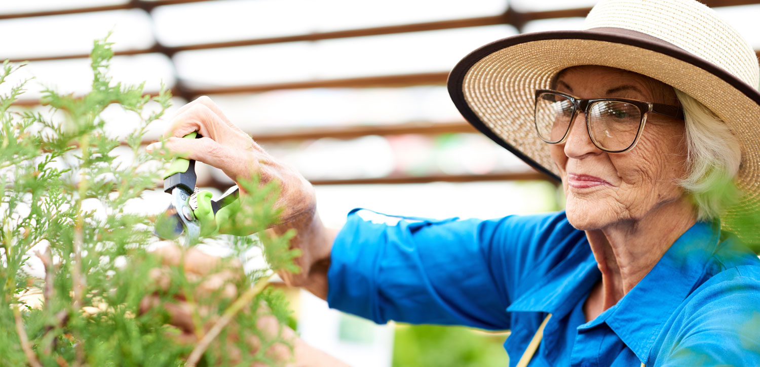 Women gardening