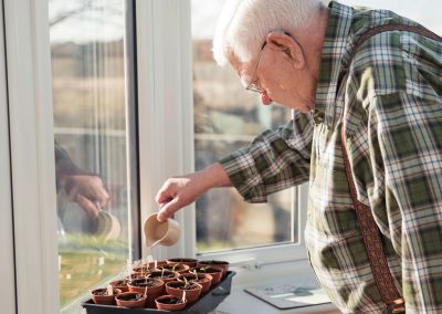 Going Green: Indoor Gardening Ideas for Apartment Living