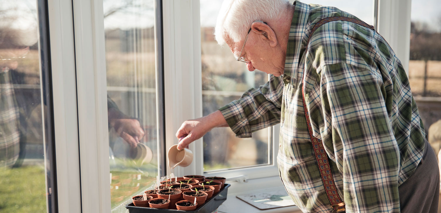 Senior watering indoor plants