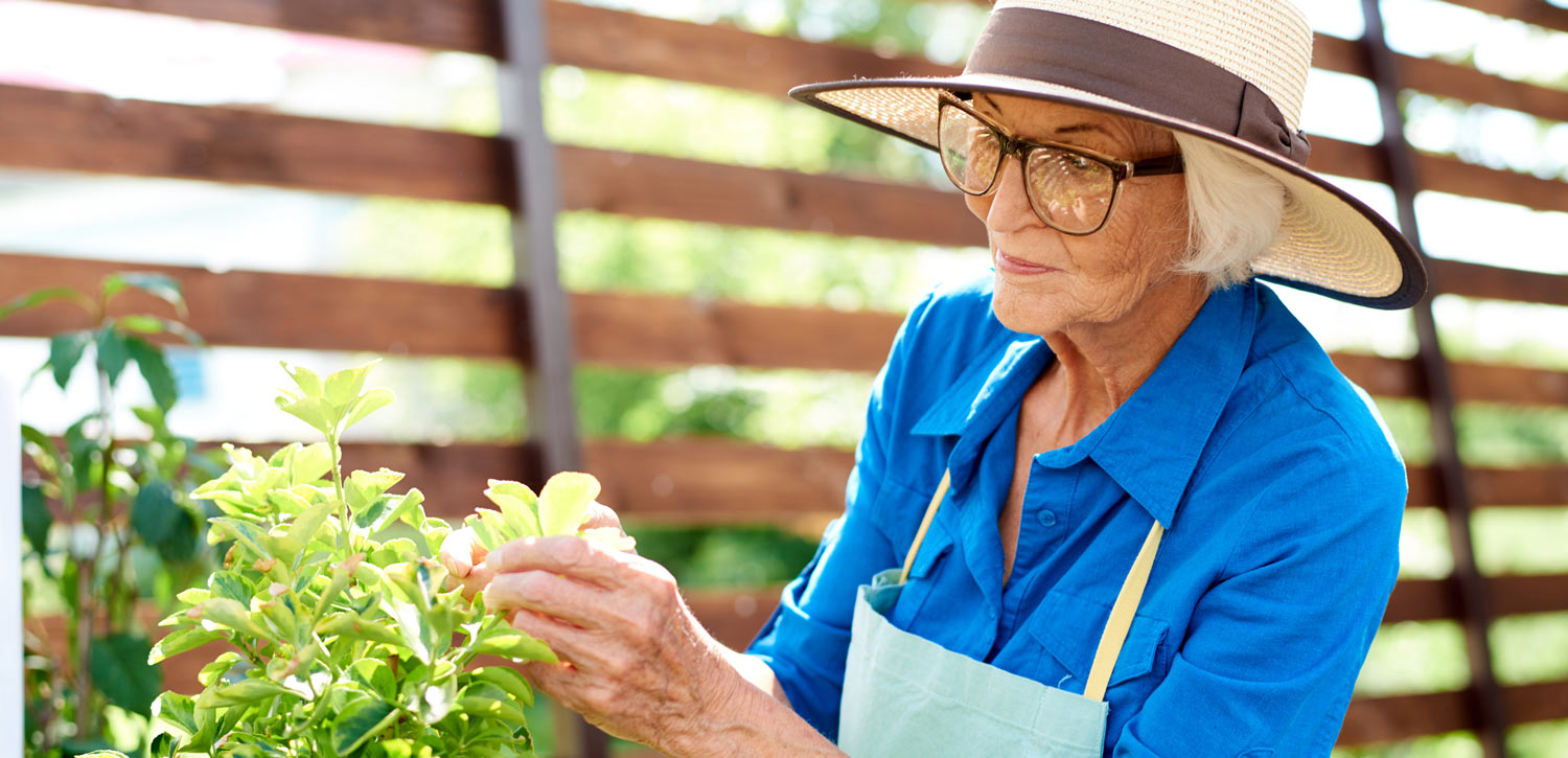 Senior spending time in the garden